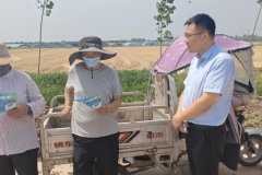 郯城农商银行服务直抵田间 金融活水润泽麦收一线