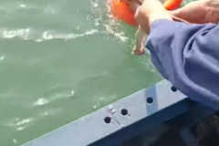 夏季游泳需谨慎！福建一男子游泳遇险，幸得中交四航局船舶及时救起