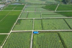 物阜千秋，品味天长芡实之美