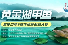 “黄金湖甲鱼”宣传口号&宣传视频征集大赛圆满落幕