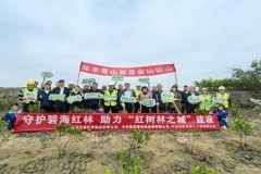 驻湛央企中交四航局三公司执“绿”为笔，书写“生态湛江”答卷