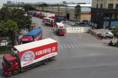 “南海鱼”游向全国！南海区力推淡水鱼产业全链升级