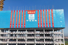 中建筑港东阿乡村振兴项目主体工程全面封顶