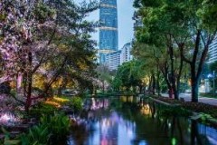 一座地标，一城之变！广州 IFC见证城市发展，引领楼宇传奇！