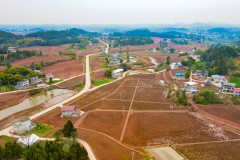 春“耕”正当时！中建筑港高标准农田建设按下“加速键”