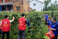 中交建筑桂钟项目、广西交通运输厅驻村工作队联合开展党建联建活动