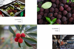 杨梅季火热开启！杭州地利果品市场守护从枝头到舌尖的每一口鲜甜