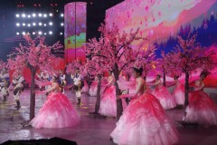 雪山为幕，桃花作伴！西藏林芝第二十一届桃花旅游文化节开幕