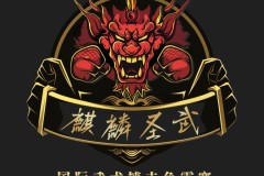 麒麟圣武国际武术搏击争霸赛在深圳甘坑新村成功举办