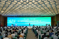 锚定新质生产力 打造“建圈强链”样板 四川省绿色建材产业链供需对接大会在德阳举行