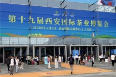 昭平县优质茶叶亮相第十九届西安国际茶叶博览会