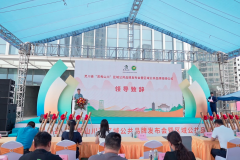 灵川县”灵秀山川”区域公共品牌盛大启航！政企携手共绘乡村振兴新蓝图