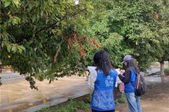 聊城大学药学与食品工程学院举办“寻海棠产业密码 探乡村振兴路径”社会实践活动