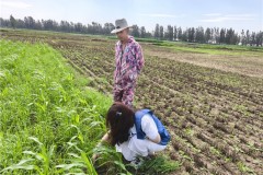 聊城大学药学与食品工程学院举办“识破农劳难题 筑牢生产根基”社会实践活动