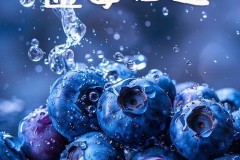 光明顶上 “莓”好时光——永州蓝莓基地，永州蓝莓批发团购，蓝莓采摘