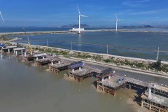 能源通道建设取得关键进展！中建港航局泉惠石化码头项目输煤栈桥桩基完成