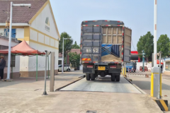 农发行鱼台县支行：金融护航，助力夏粮收购稳行致远