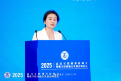 2025武汉互联网科技峰会暨数字经济融合发展高峰论坛成功举办 共绘数字经济融合发展新蓝图