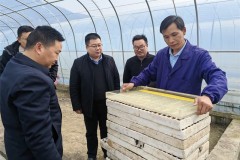 坚持对标管理，推动高质量发展新篇章