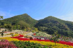 生态赋能文旅融合 平谷梨树沟首届梨花艺术节正式开启！