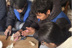 聊城大学药学与食品工程学院举办“寻脉郎庄，塑韵流芳”社会实践活动