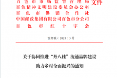 爱心汇聚助振兴 扶危济困显真情——广西百色烟草积极开展“99公益日”人道资源动员活动