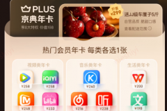 京东PLUS会员迎来10周年 2025年为用户省下近300亿元 持续“省心又省钱”