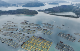 一条好鲈鱼的匠心锤炼：半天妖严守质价比，让消费者“吃得放心，吃得安心”