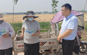 郯城农商银行服务直抵田间 金融活水润泽麦收一线