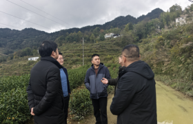 倾听来自大山深处的声音，让通信服务没有壁垒