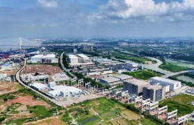 鹰，有他飞翔的轨迹