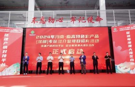 2024年海南·临高特色农产品（深圳）专场推介暨项目招商活动圆满举办