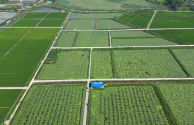 物阜千秋，品味天长芡实之美