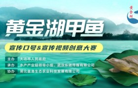 “黄金湖甲鱼”宣传口号&宣传视频征集大赛圆满落幕