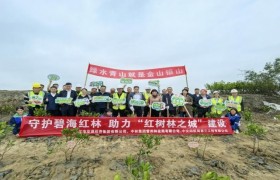 驻湛央企中交四航局三公司执“绿”为笔，书写“生态湛江”答卷