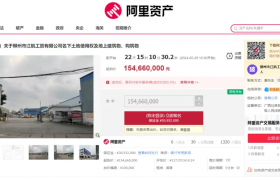 柳州稀缺成熟厂房拍卖！起拍价1.54亿元
