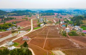 春“耕”正当时！中建筑港高标准农田建设按下“加速键”