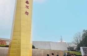 中建筑港川渝公司党支部组织开展主题党日活动