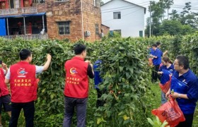 中交建筑桂钟项目、广西交通运输厅驻村工作队联合开展党建联建活动