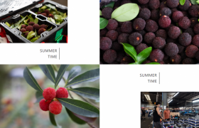 杨梅季火热开启！杭州地利果品市场守护从枝头到舌尖的每一口鲜甜