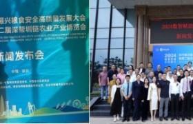 百万粉丝乡村振兴推广大使刘亚玲：谈博览、振兴与展望