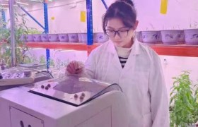 恒温三段式混合发酵技术:中医药领域的创新革命