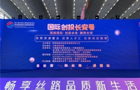 链接国际 创投未来 大唐领域控股国际创投长安号丝博会专场会议成功举办
