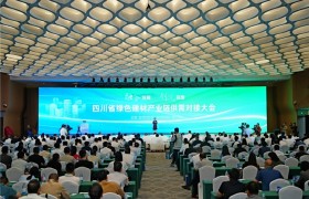 锚定新质生产力 打造“建圈强链”样板 四川省绿色建材产业链供需对接大会在德阳举行