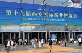 昭平县优质茶叶亮相第十九届西安国际茶叶博览会