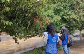 聊城大学药学与食品工程学院举办“寻海棠产业密码 探乡村振兴路径”社会实践活动