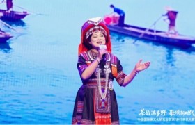 文艺赋能茶产业 《六堡茶歌》唱响乡村大赛