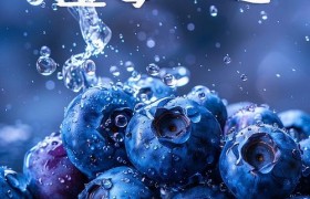 光明顶上 “莓”好时光——永州蓝莓基地，永州蓝莓批发团购，蓝莓采摘