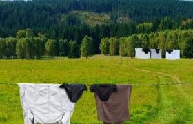 璐瑶妈妈：用兴趣点燃孩子的成长之路