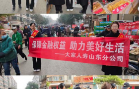 大家人寿山东分公司“3·15”教育宣传活动——金融知识赶大集